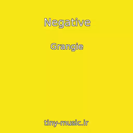 کاور آهنگ Negative از Grangie