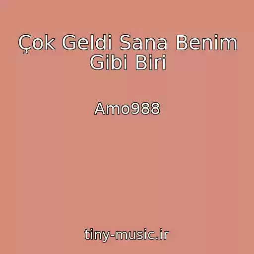 کاور آهنگ Çok Geldi Sana Benim Gibi Biri از Amo988