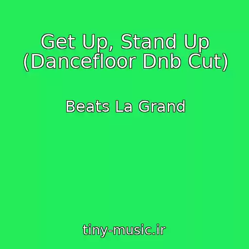 کاور آهنگ Get Up, Stand Up (Dancefloor Dnb Cut) از Beats La Grand
