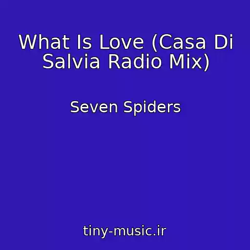 کاور آهنگ What Is Love (Casa Di Salvia Radio Mix) از Seven Spiders