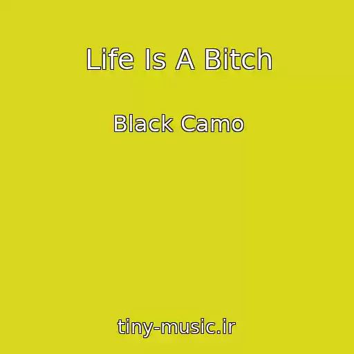 کاور آهنگ Life Is A Bitch از Black Camo