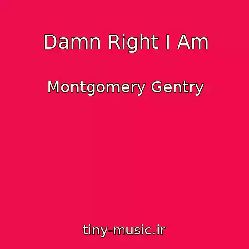 کاور آهنگ Damn Right I Am از Montgomery Gentry