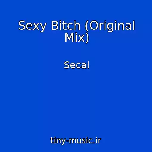 کاور آهنگ Sexy Bitch (Original Mix) از Secal