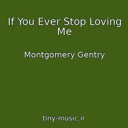 کاور آهنگ If You Ever Stop Loving Me از Montgomery Gentry