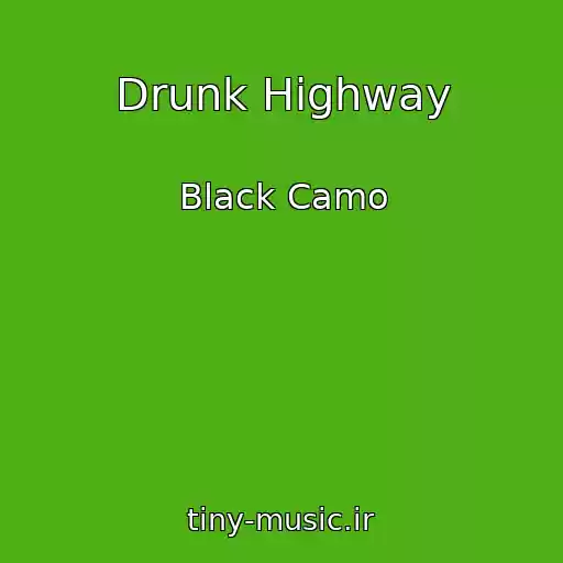 کاور آهنگ Drunk Highway از Black Camo