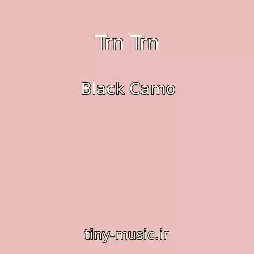 کاور آهنگ Trn Trn از Black Camo