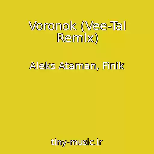 کاور آهنگ Voronok (Vee-Tal Remix) از Aleks Ataman, Finik