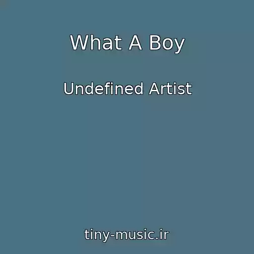 کاور آهنگ What A Boy از Undefined Artist