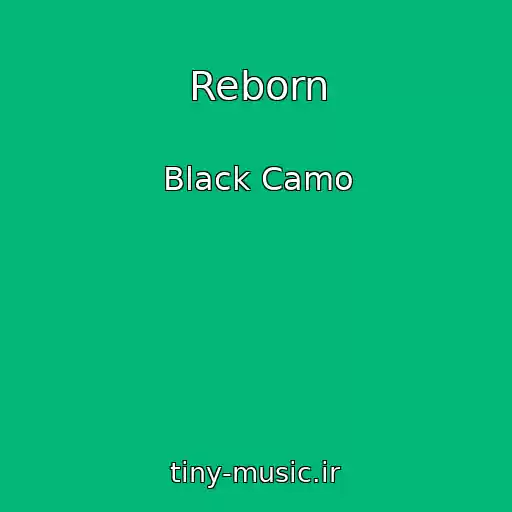 کاور آهنگ Reborn از Black Camo