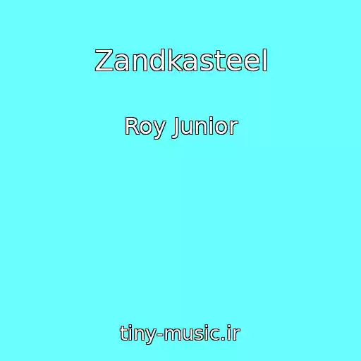 کاور آهنگ Zandkasteel از Roy Junior