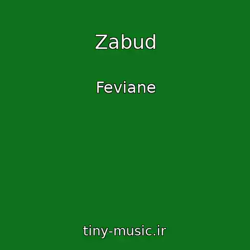 کاور آهنگ Zabud از Feviane