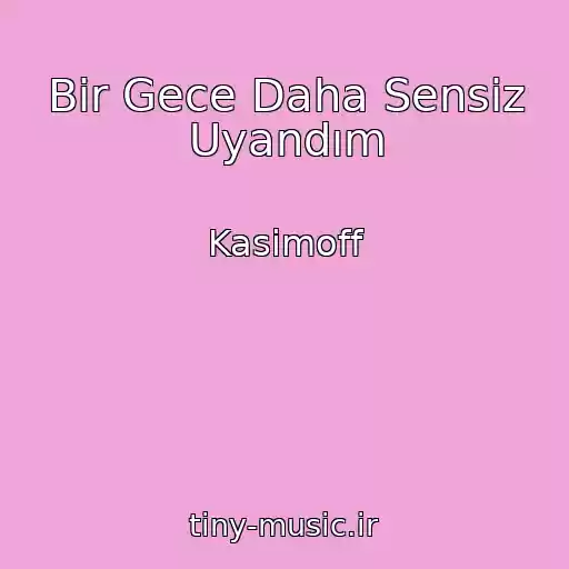 کاور آهنگ Bir Gece Daha Sensiz Uyandım از Kasimoff