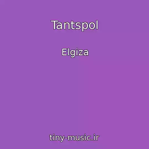 کاور آهنگ Tantspol از Elgiza