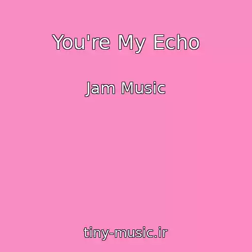 کاور آهنگ You're My Echo از Jam Music