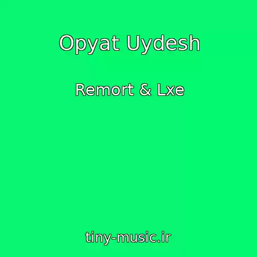 کاور آهنگ Opyat Uydesh از Remort & Lxe