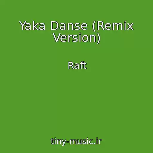 کاور آهنگ Yaka Danse (Remix Version) از Raft