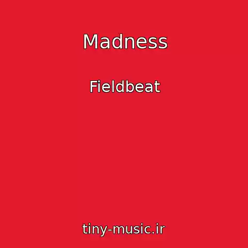 کاور آهنگ Madness از Fieldbeat