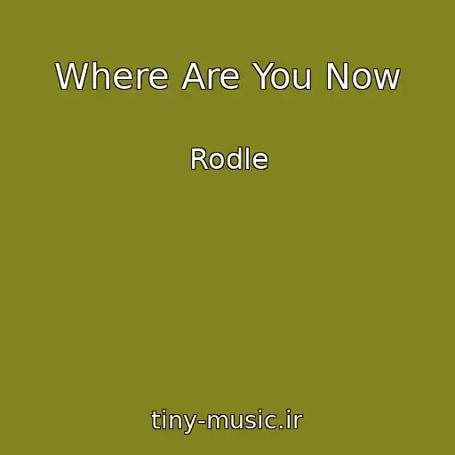 کاور آهنگ Where Are You Now از Rodle