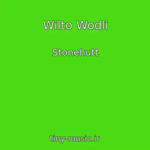کاور آهنگ Wilto Wodli از Stonehutt