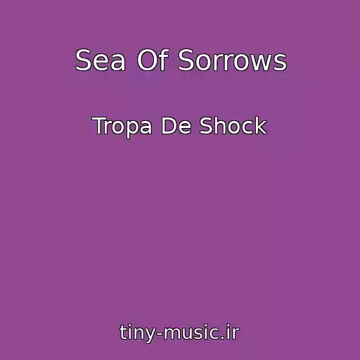 کاور آهنگ Sea Of Sorrows از Tropa De Shock