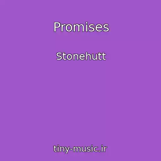 کاور آهنگ Promises از Stonehutt