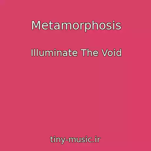کاور آهنگ Metamorphosis از Illuminate The Void