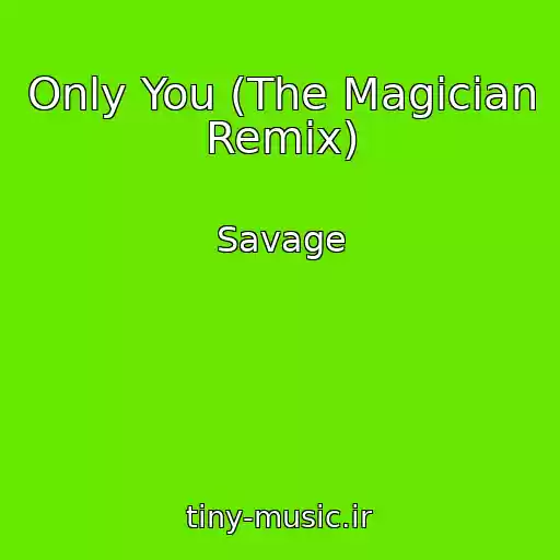 کاور آهنگ Only You (The Magician Remix) از Savage