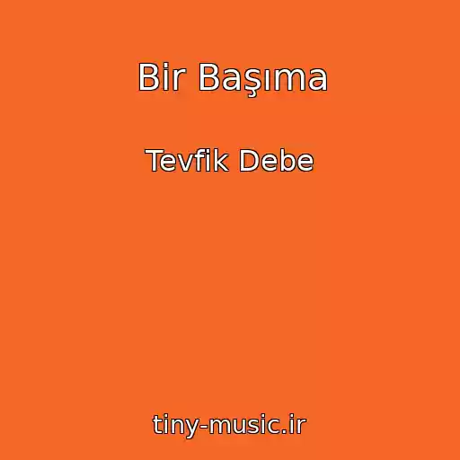 کاور آهنگ Bir Başıma از Tevfik Debe