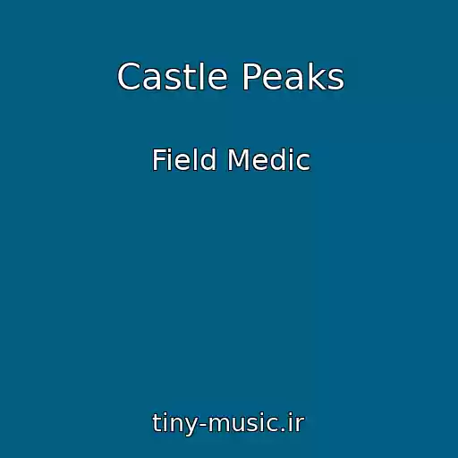 کاور آهنگ Castle Peaks از Field Medic