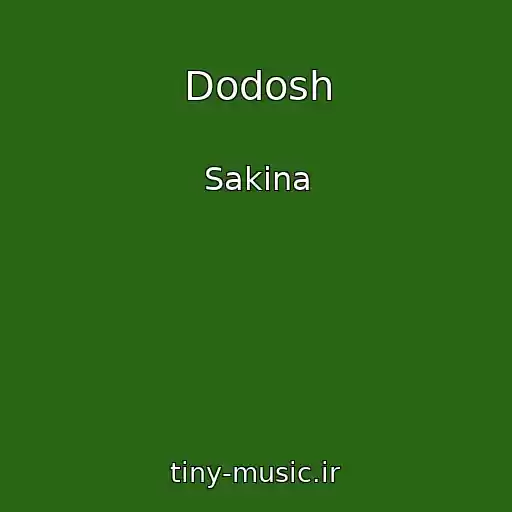 کاور آهنگ Dodosh از Sakina