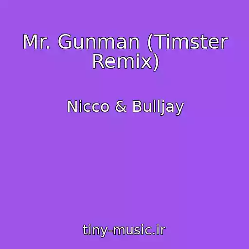 کاور آهنگ Mr. Gunman (Timster Remix) از Nicco & Bulljay