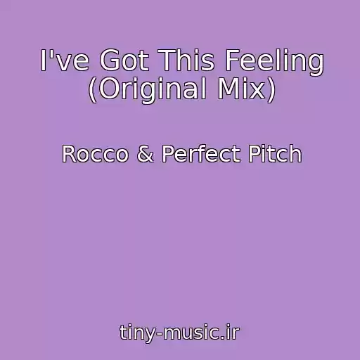 کاور آهنگ I've Got This Feeling (Original Mix) از Rocco & Perfect Pitch