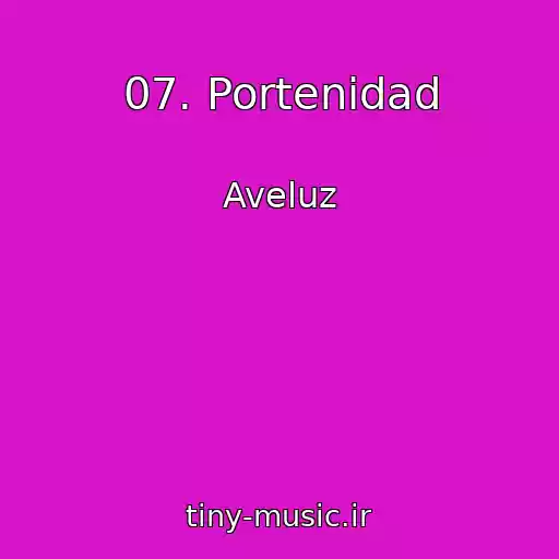کاور آهنگ 07. Portenidad از Aveluz