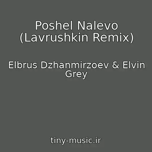 کاور آهنگ Poshel Nalevo (Lavrushkin Remix) از Elbrus Dzhanmirzoev & Elvin Grey