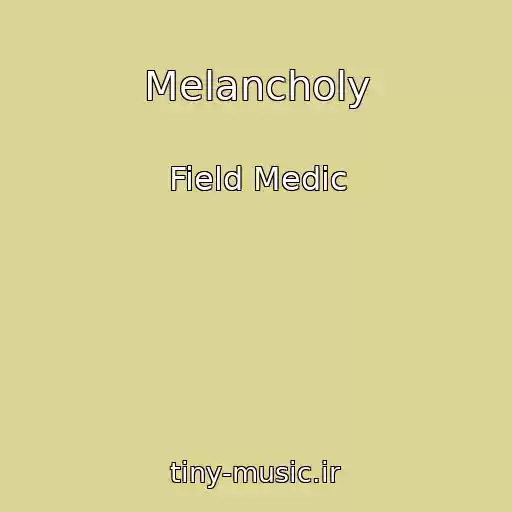 کاور آهنگ Melancholy از Field Medic