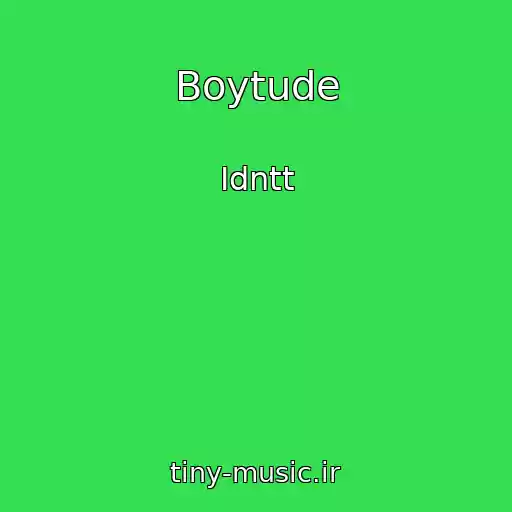 کاور آهنگ Boytude از Idntt