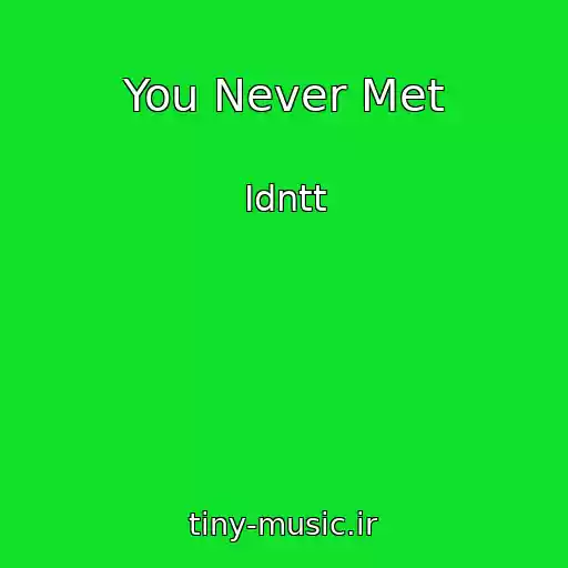 کاور آهنگ You Never Met از Idntt