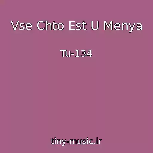 کاور آهنگ Vse Chto Est U Menya از Tu-134