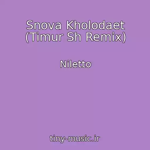 کاور آهنگ Snova Kholodaet (Timur Sh Remix) از Niletto