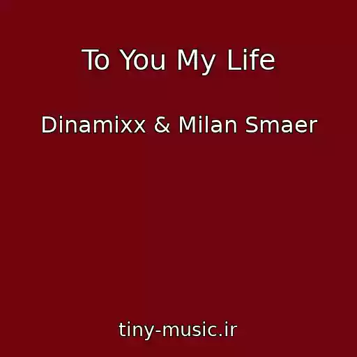 کاور آهنگ To You My Life از Dinamixx & Milan Smaer