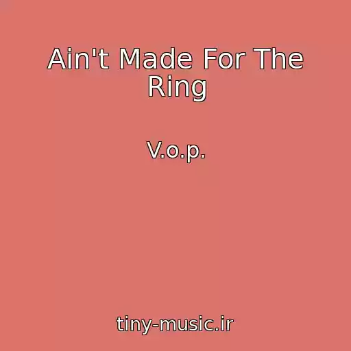 کاور آهنگ Ain't Made For The Ring از V.o.p.