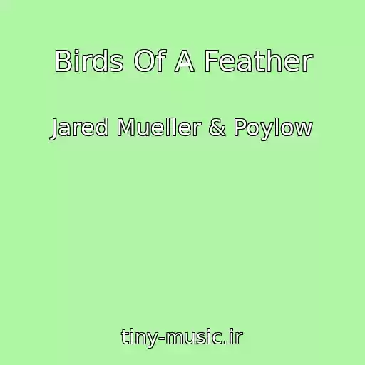 کاور آهنگ Birds Of A Feather از Jared Mueller & Poylow