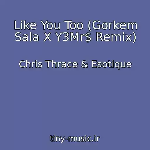 کاور آهنگ Like You Too (Gorkem Sala X Y3Mr$ Remix) از Chris Thrace & Esotique