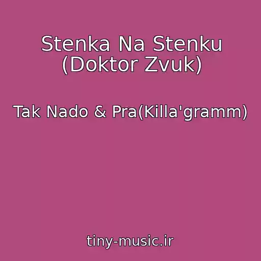 کاور آهنگ Stenka Na Stenku (Doktor Zvuk) از Tak Nado & Pra(Killa'gramm)