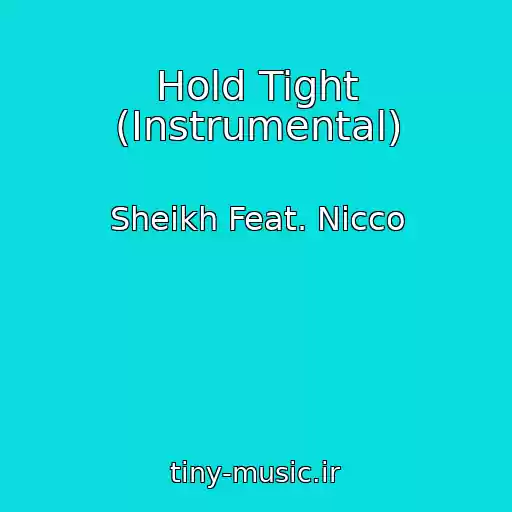 کاور آهنگ Hold Tight (Instrumental) از Sheikh Feat. Nicco