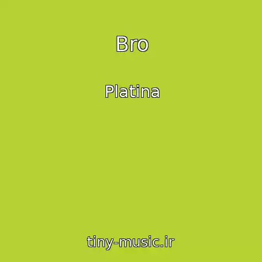 کاور آهنگ Bro از Platina
