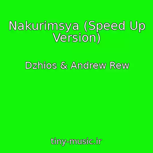کاور آهنگ Nakurimsya (Speed Up Version) از Dzhios & Andrew Rew