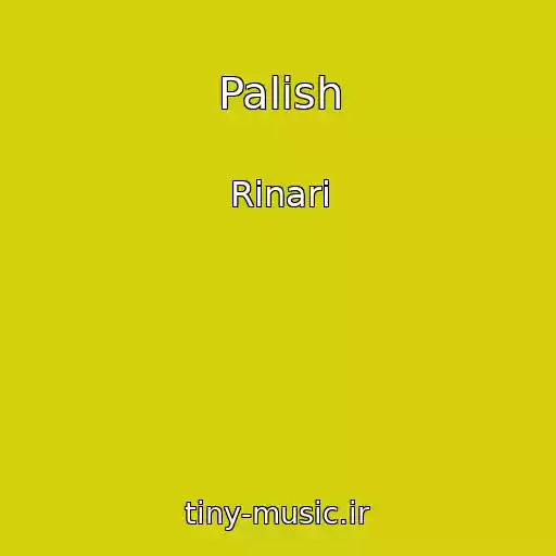کاور آهنگ Palish از Rinari