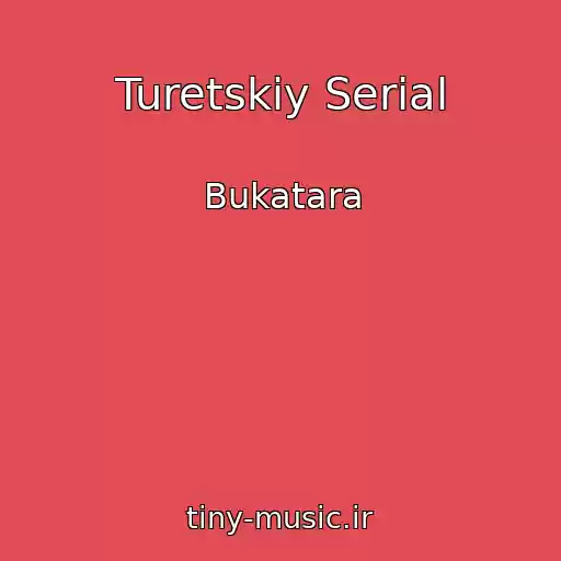 کاور آهنگ Turetskiy Serial از Bukatara