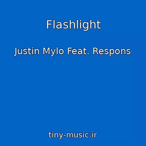 کاور آهنگ Flashlight از Justin Mylo Feat. Respons